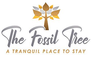 The Fossil Tree Hotel