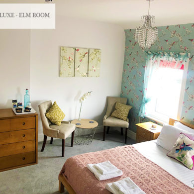 Deluxe Elm-Room | The Fossil Tree Blackpool
