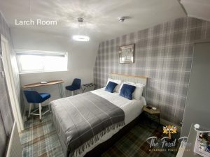 Larch Room Standard Side Seaview room with king size bed