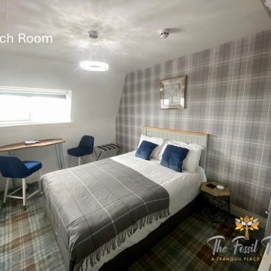 Larch Room Standard Side Seaview room with king size bed