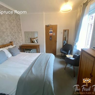 Spruce Room popular Standard king bed room with Side Seaview on the first floor