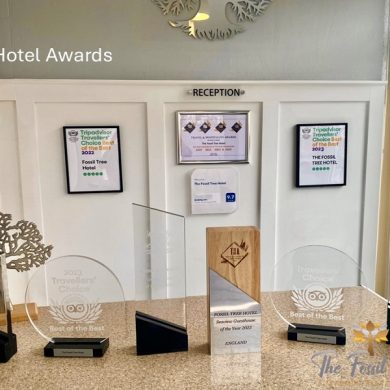 Selection of our recent Awards