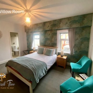 Willow Room - lovely Superior side Seaview room with king bed